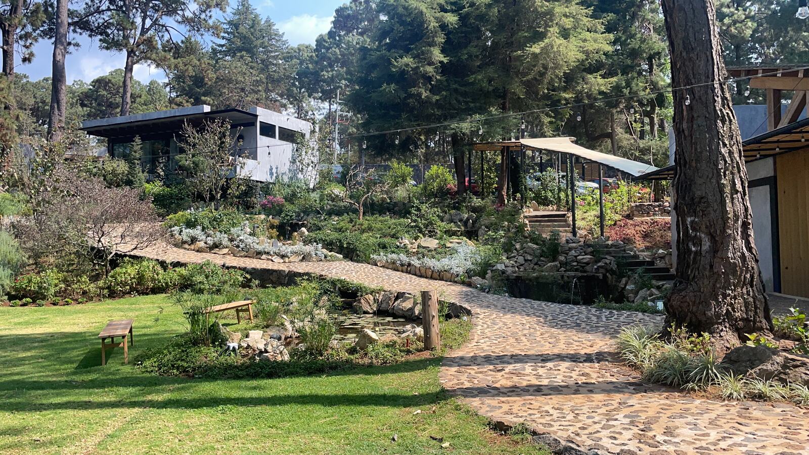 Sendero de piedra bola entre pinos y jardín de rocalla